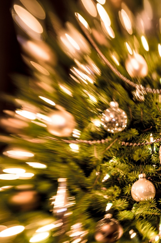 Kerstboom 1